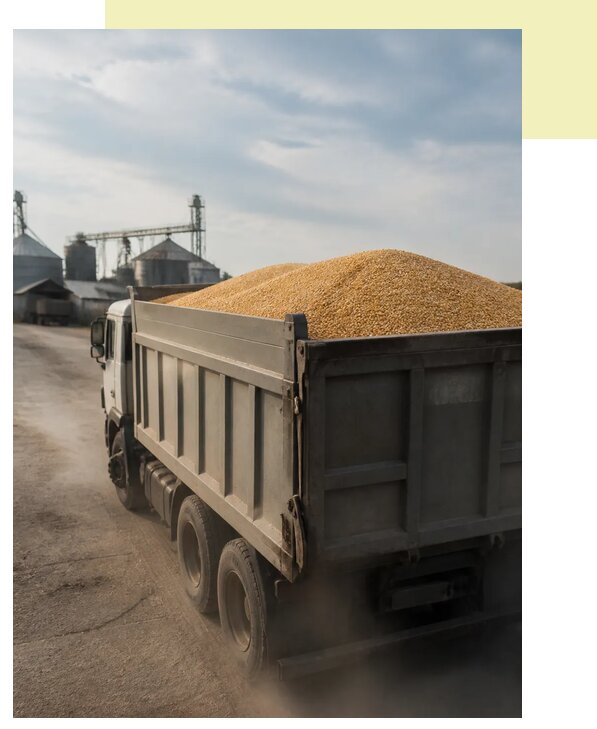 Перевозка сельхозпродукции навалом в Балахну по цене от 3134 р. | Агросервис-Блх